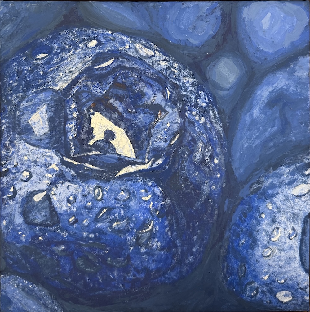 Blueberry